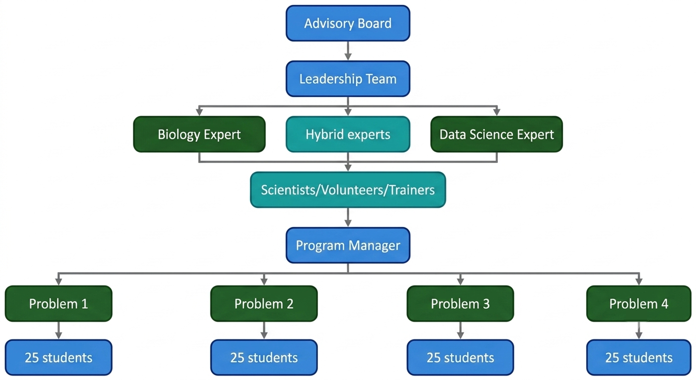 Academy programme structure: Advisory Board → Leadership Team → Experts → Scientists → Programme Manager → Problem Groups